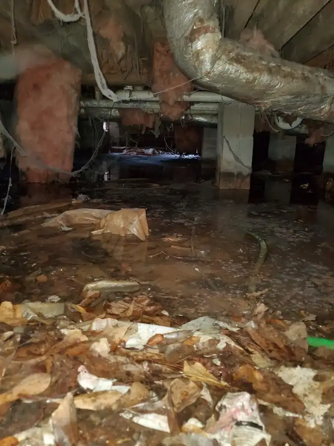 Crawl space flood assessment for Leak Detection & Repair in Laketon